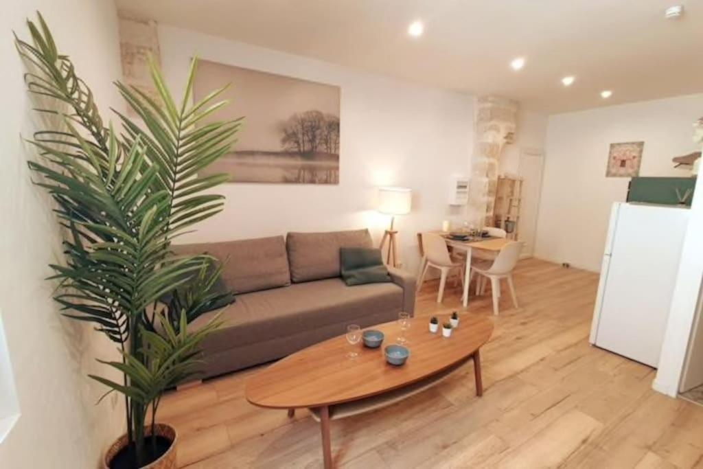 Studio Arthur - Centre-Ville - Wifi - Cosy Avignon Ngoại thất bức ảnh